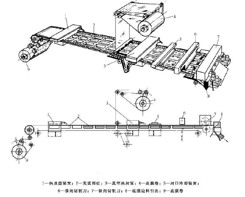 步進式大容器熱成型包裝機